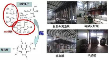 前沿 | “十二五”863计划绿色生物制造工艺研究成果回顾